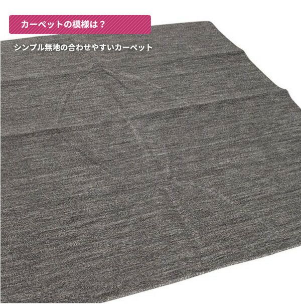 スーパSALE10倍＆4時間限定10％OFF カーペット ラグ 平織 抗菌 ペットの爪が引っかかりにくい レベルカット / 江戸間 2畳 176×176cm ブラック 日本製 ソレイユ 九装