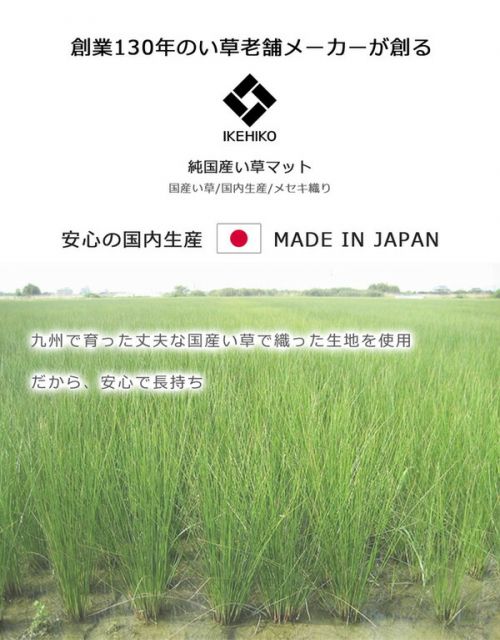 純国産 い草マット フリーマット ネイビー 約70×180cm（中材：固綿15mm）代引NG