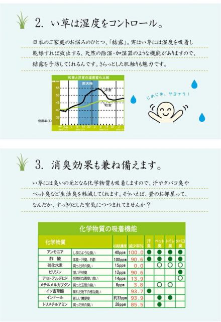 い草 花ござ ラグマット/絨毯 ブルー 江戸間3畳 約174×261cm 抗菌 防臭 消臭 調湿 日本製 〔リビング ダイニング〕代引NG