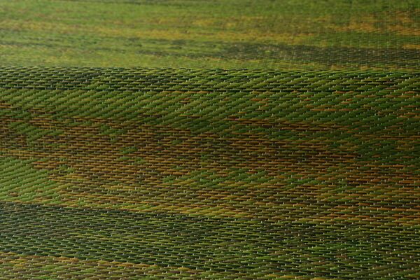い草 花ござ ラグマット/絨毯 グリーン 江戸間1畳 約87×174cm 抗菌 防臭 消臭 調湿 日本製 〔リビング フローリング〕代引NG