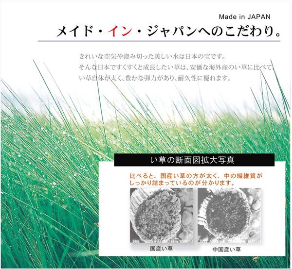 い草 ラグマット/絨毯 格子柄 シンプルモダン グリーン 約191×191cm 日本製 抗菌 防臭 調湿機能 耐久性抜群 〔リビング〕代引NG