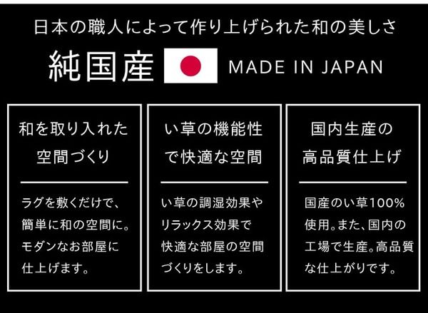 モダン調 い草 ラグマット/絨毯 約140×200cm 日本製 抗菌 防臭 調湿機能 耐久性抜群 〔リビング ダイニング〕代引NG