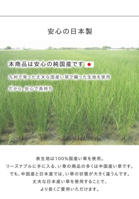 モダン調 い草 ラグマット/絨毯 約140×200cm 日本製 抗菌 防臭 調湿機能 耐久性抜群 〔リビング ダイニング〕代引NG