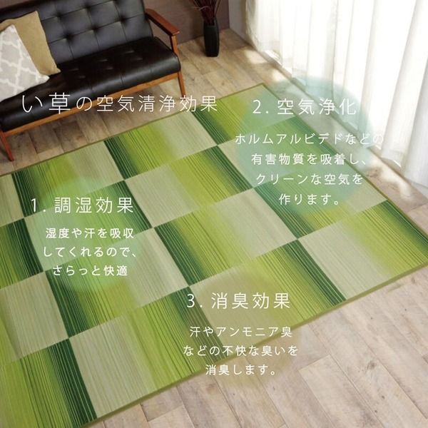 い草 ラグマット/絨毯 コンパクト ブラウン 約135×180cm 折りたたみ 防傷 不織布 裏貼り加工 消臭 調湿機能付 〔リビング〕代引NG