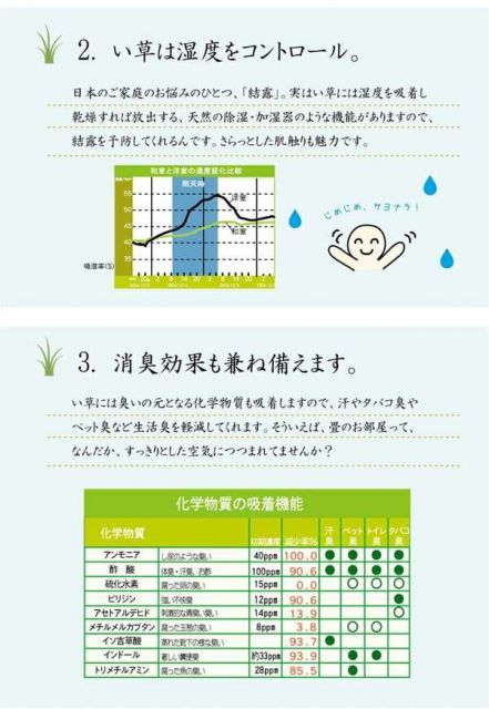 い草 ラグマット/絨毯 コンパクト ブラウン 約135×180cm 折りたたみ 防傷 不織布 裏貼り加工 消臭 調湿機能付 〔リビング〕代引NG