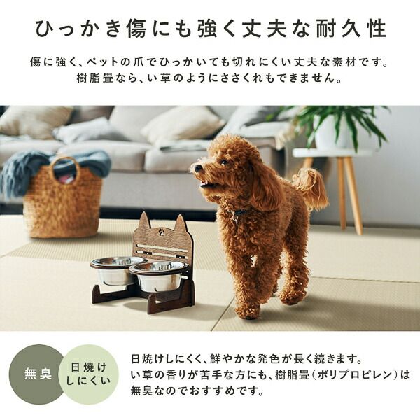 〔1枚(単品)〕 PP 置き畳 ユニット畳 約幅82×奥行82×高さ2.5cm グリーン 樹脂畳 軽量 軽い 滑りにくい 裏面 滑り止めシート付き キズ防止 傷防止 耐久性 丈夫 頑丈 簡単設置 お手入れ簡単 水拭き可 畳マット インテリア家具 インテリア雑貨 リビング家具【代引不可】
