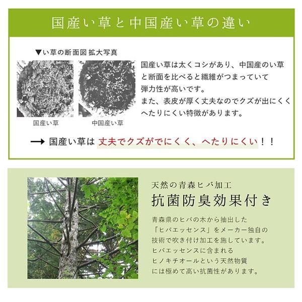 夏用 い草 ラグマット/絨毯 シンプル ネイビー 約191×191cm 正方形 日本製 抗菌 防臭 防滑 湿度調節 ホットカーペット対応代引NG