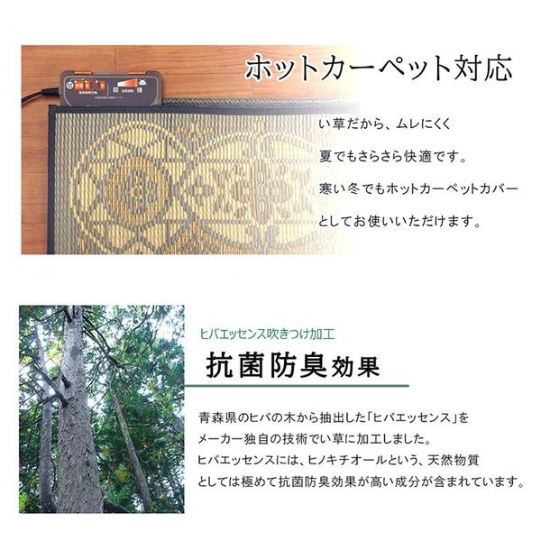 夏用 い草 ラグマット/絨毯 サークル ネイビー 191×191cm 正方形 日本製 抗菌 防臭 防滑 湿度調節 ホットカーペット対応代引NG
