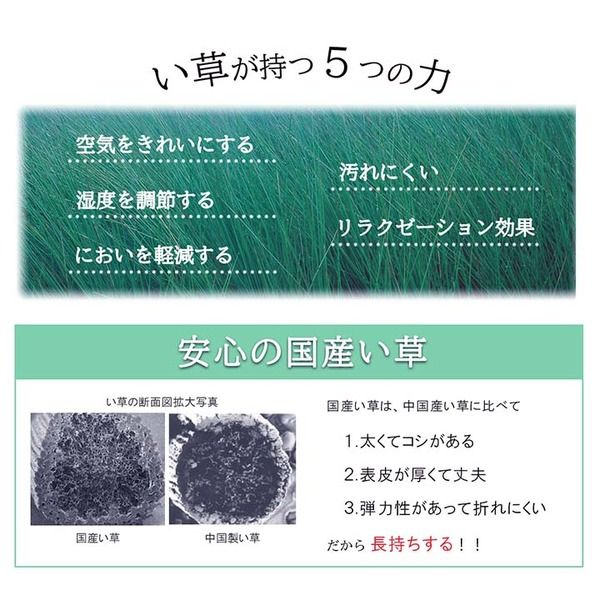 夏用 い草 ラグマット/絨毯 サークル ネイビー 191×250cm 長方形 日本製 抗菌 防臭 防滑 湿度調節 ホットカーペット対応代引NG