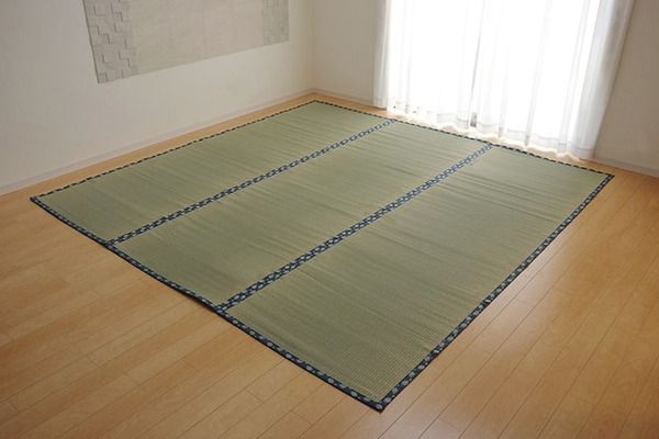 双目織 い草 上敷き/ラグマット 江戸間3畳 約176×261cm 日本製 撥水 抗菌 防臭 消臭 調湿機能付 耐久性抜群 〔リビング〕代引NG