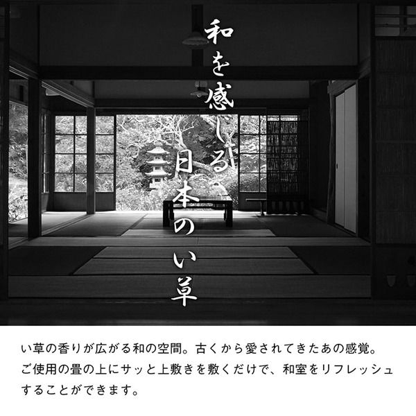 双目織 い草 上敷き/ラグマット 江戸間4.5畳 約261×261cm 日本製 撥水 抗菌 防臭 消臭 調湿機能付 耐久性抜群 〔リビング〕代引NG