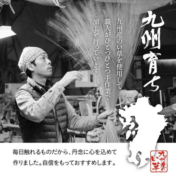 純国産い草 上敷きカーペット/絨毯 格子柄 江戸間4.5畳 約261×261cm 両面使用 抗菌 防臭 調湿 耐久性 日本製 〔リビング〕代引NG