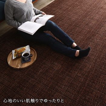 ラグマット こたつ敷布団 約200×250cm ブラウン 防滑加工 ホットカーペット対応 マイクロファイバー サンゴマイヤー リビング代引NG