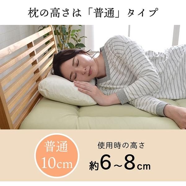 低反発 もっちり 枕/ピロー 約35×50cm 抗菌 防臭 ひばパイプ 日本製 側地綿100％ 高さ普通タイプ 〔ベッドルーム〕代引NG