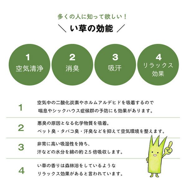 い草 枕/ピロー 無地 平枕 約50×30cm グリーン 高さ調整可 消臭 吸湿 調湿機能 日本製 〔ベッドルーム 寝室〕代引NG