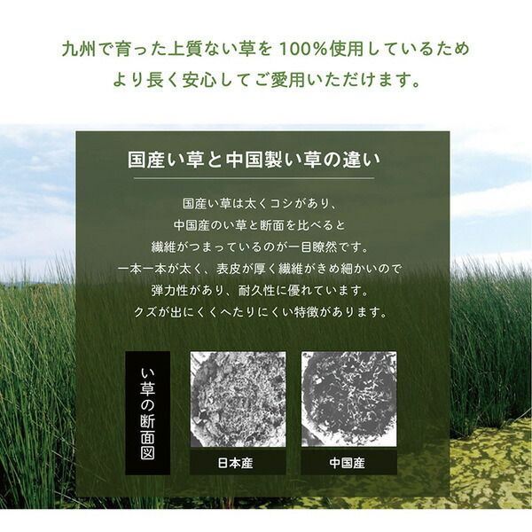 い草 枕/ピロー 無地 平枕 約50×30cm ナチュラル 高さ調整可 消臭 吸湿 調湿機能 日本製 〔ベッドルーム 寝室〕代引NG