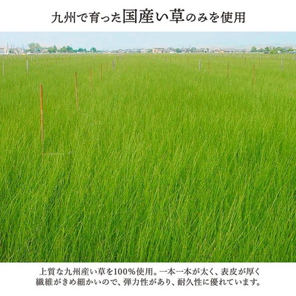 い草 花ござ ラグマット/絨毯 草原 グリーン 江戸間3畳 約174×261cm 日本製 抗菌 防臭 調湿 消臭 掛川織 〔リビング〕代引NG