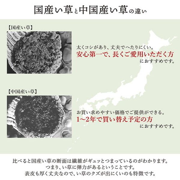 い草 花ござ ラグマット/絨毯 海 ブルー 江戸間3畳 約174×261cm 日本製 抗菌 防臭 調湿 消臭 掛川織 〔リビング〕代引NG