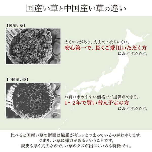 い草 花ござ ラグマット/絨毯 江戸間6畳 約261×352cm グリーン 日本製 抗菌 防臭 調湿 消臭 掛川織 〔リビング〕代引NG