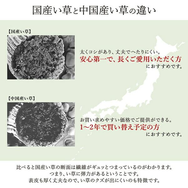 い草 花ござ ラグマット/絨毯 江戸間8畳 約348×352cm ブラウン 日本製 抗菌 防臭 消臭 調湿 パッチワーク風 〔リビング〕代引NG