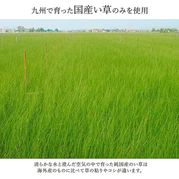 い草 花ござ ラグマット/絨毯 本間2畳 約191×191cm ベージュ 日本製 抗菌 防臭 消臭 調湿 パッチワーク風 〔リビング〕代引NG