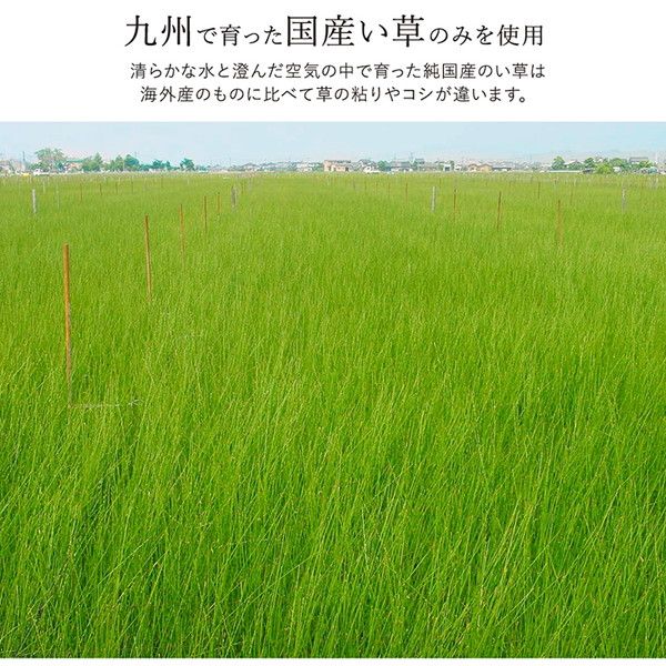 い草 ラグマット/絨毯 約191×250cm グリーン 日本製 抗菌 防臭 調湿 消臭 防滑機能 ウレタン 〔リビング〕代引NG