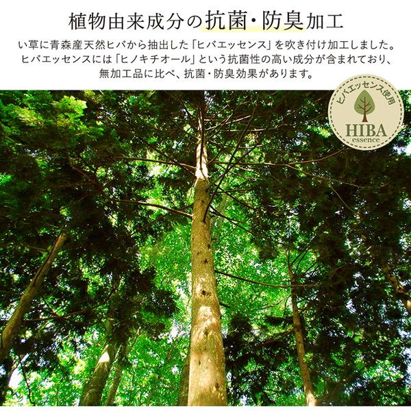 い草 ラグマット/絨毯 約140×200cm グレー 日本製 抗菌 防臭 調湿 消臭 防滑機能 ウレタン 〔リビング〕代引NG