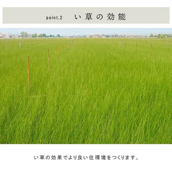 スーパSALE10倍＆4時間限定10％OFF 置き畳 ユニット畳 和室 3層 約70×70×1.5cm 9枚組 防炎 軽量 い草 日本製 国産 置きたたみ イ草 畳マット ジョイントマット【代引NG】