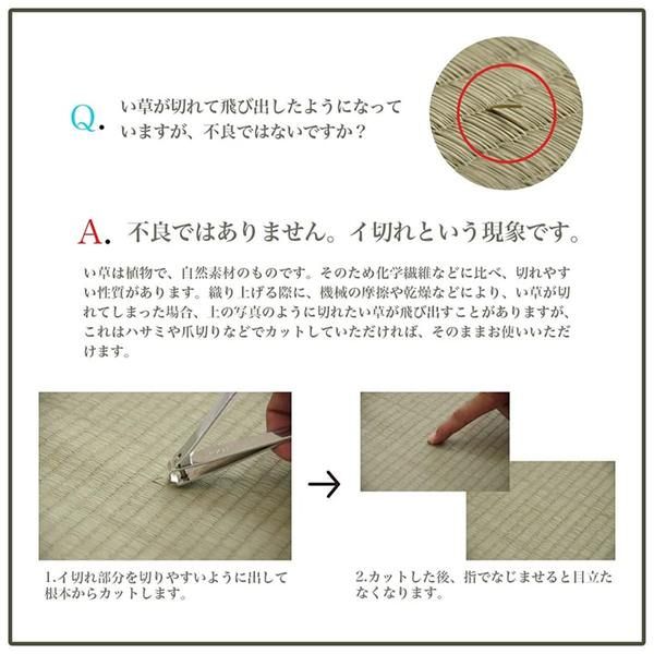 上敷き ゴザ 敷詰 カーペット い草 自然素材 日本製 国産 消臭 ナチュラル 市松柄 シンプル 江戸間1畳(約87×174cm)代引NG