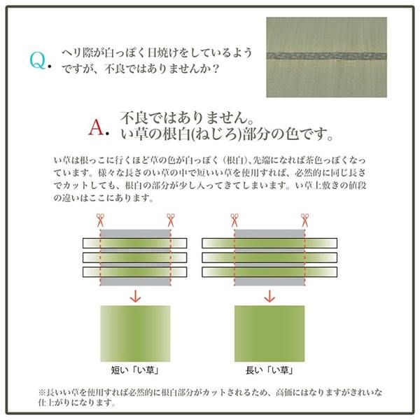 上敷き ゴザ 敷詰 カーペット い草 自然素材 日本製 国産 消臭 ナチュラル 市松柄 シンプル 本間8畳(約382×382cm)代引NG