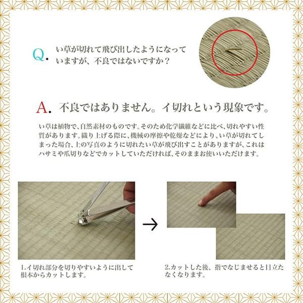 上敷き ゴザ 敷詰 カーペット い草 自然素材 日本製 国産 消臭 抗菌防臭 麻の葉 レトロ 和 ベージュ 江戸間2畳(約174×174cm)代引NG