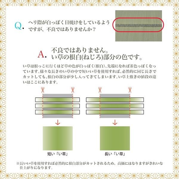 上敷き ゴザ 敷詰 カーペット い草 自然素材 日本製 国産 消臭 抗菌防臭 麻の葉 レトロ 和 ベージュ 江戸間8畳(約348×352cm)代引NG