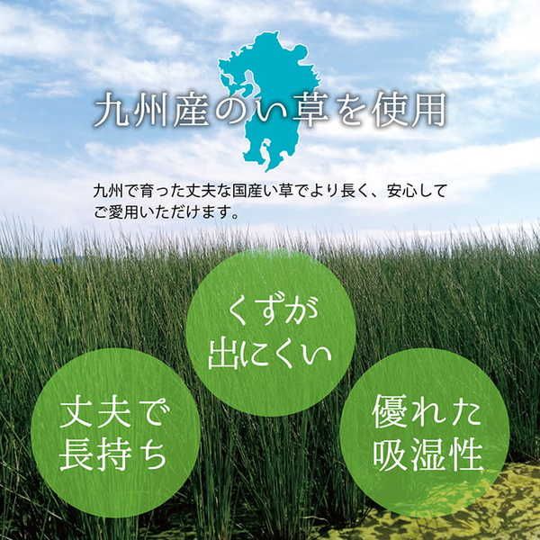 上敷き ゴザ 敷詰 カーペット い草 自然素材 日本製 国産 消臭 抗菌防臭 麻の葉 レトロ 和 ベージュ 江戸間10畳(約435×352cm)代引NG