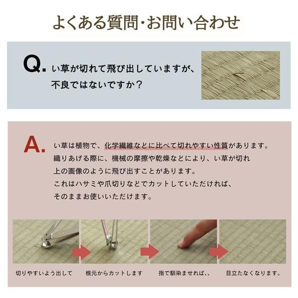 ラグ マット 国産 日本製 い草 高級感 エレガンス 消臭 自然素材 滑り止め加工 不織布 パープル 長方形 約191×250cm代引NG