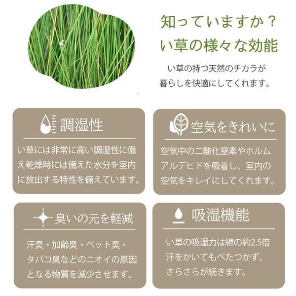 ラグ マット 国産 日本製 い草 高級感 エレガンス 消臭 自然素材 滑り止め加工 不織布 ワイン 長方形 約191×250cm代引NG