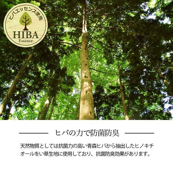 い草ラグ 花ござ カーペット 格子柄 ナチュラル シンプル 和室 抗菌防臭 消臭 お手入れ簡単 夏快適さらさら 本間6畳(約286×382cm) ウッディブラウン代引NG