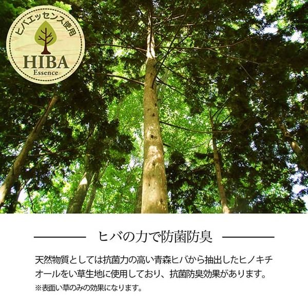 い草ラグ 花ござ カーペット 格子柄 ナチュラル シンプル 和室 洋室 裏不織布滑り止め 滑りにくい 抗菌防臭 消臭 江戸間8畳(約348×352cm) レイクブルー代引NG