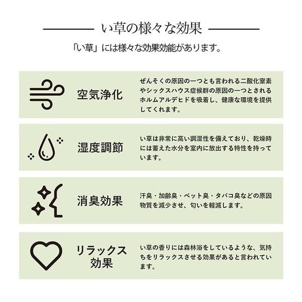 い草ラグ 花ござ カーペット 格子柄 ナチュラル シンプル 和室 洋室 裏不織布滑り止め 滑りにくい 抗菌防臭 消臭 本間6畳(約286×382cm) ウッディブラウン代引NG