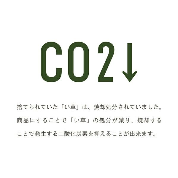 サスティナブル irucico いるしこ みらい 自然素材 国産 日本製 い草 無垢 敷き物 ラグ カーペット マット 消臭 蒸れにくい ナチュラル 約140×210cm代引NG