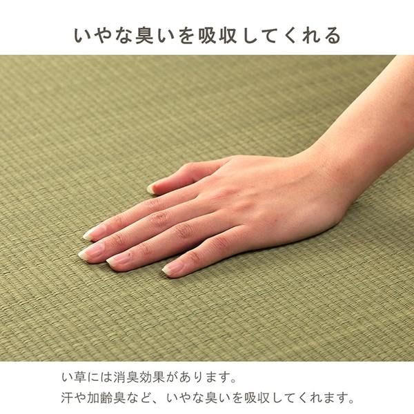 サスティナブル irucico いるしこ みらい 自然素材 国産 日本製 い草 無垢 敷き物 ラグ カーペット マット 消臭 蒸れにくい ナチュラル 約140×210cm代引NG
