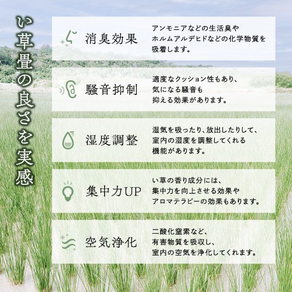 い草香る折り畳みマットレス 4つ折り 双目織 緑 シングル 約100×200×1.1cm代引NG
