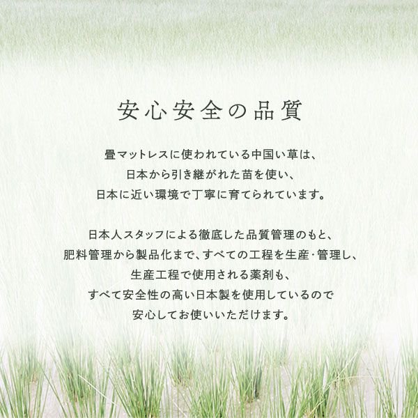 い草香る折り畳みマットレス 4つ折り 双目織 緑 ダブル 約140×200×1.1cm代引NG