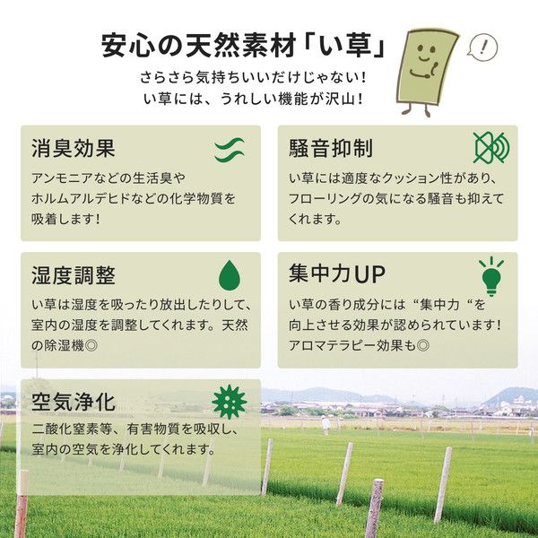 国産い草 ラグマット(裏貼り)/絨毯 約191×191cm ベージュ 日本製 縁：綿100％ 『右京 うきょう』 〔リビング ダイニング〕代引NG