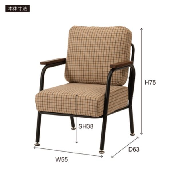 スーパSALE10倍＆4時間限定10％OFF ソファ 1人掛け グレー 約幅55cm 組立品