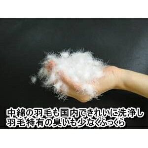 スーパSALE10倍＆4時間限定10％OFF ダウン85%使用ふかふか羽毛枕 大サイズ 綿100% 日本製
