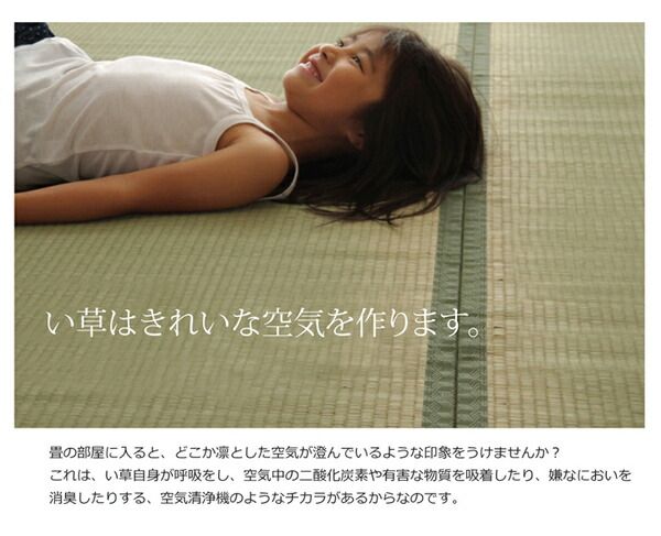 日本製 い草 上敷き/ラグマット 双目織 江戸間8畳 約352×352cm 抗菌 防臭 調湿機能付き 草津 〔リビング〕代引NG