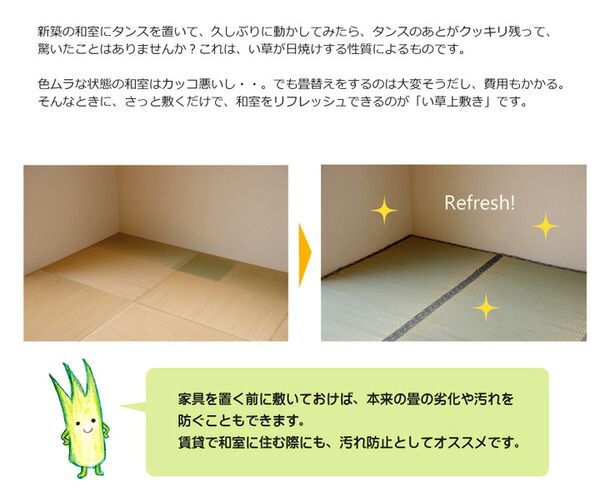 日本製 い草 上敷き/ラグマット 糸引織 江戸間6畳 約261×352cm 抗菌 防臭 調湿機能付き 湯沢 〔リビング〕代引NG