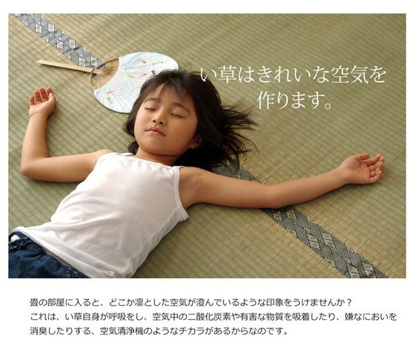日本製 い草 上敷き/ラグマット 糸引織 六一間3畳 約185×277cm 抗菌 防臭 調湿機能付き 湯沢 〔リビング〕代引NG