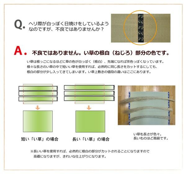 日本製 い草 上敷き/ラグマット 糸引織 六一間6畳 約277×368cm 抗菌 防臭 調湿機能付き 湯沢 〔リビング〕代引NG