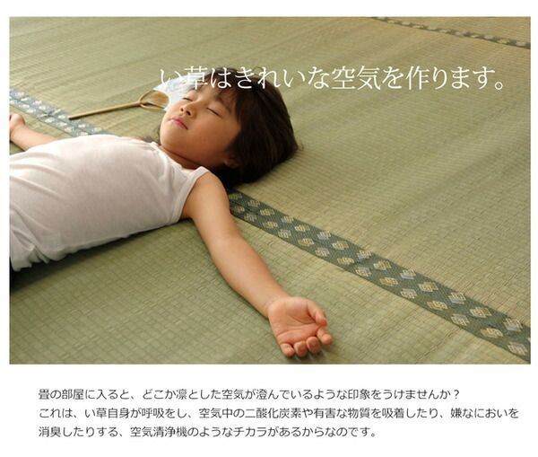 日本製 い草 上敷き/ラグマット 双目織 江戸間8畳 約352×352cm 抗菌 防臭 調湿機能付き 〔リビング 和室〕代引NG